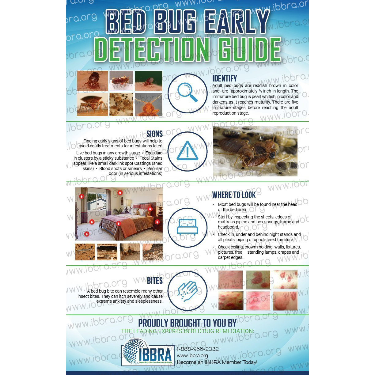 Bed Bug Education Posters