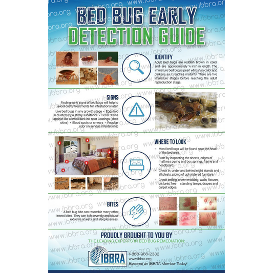 Bed Bug Education Posters